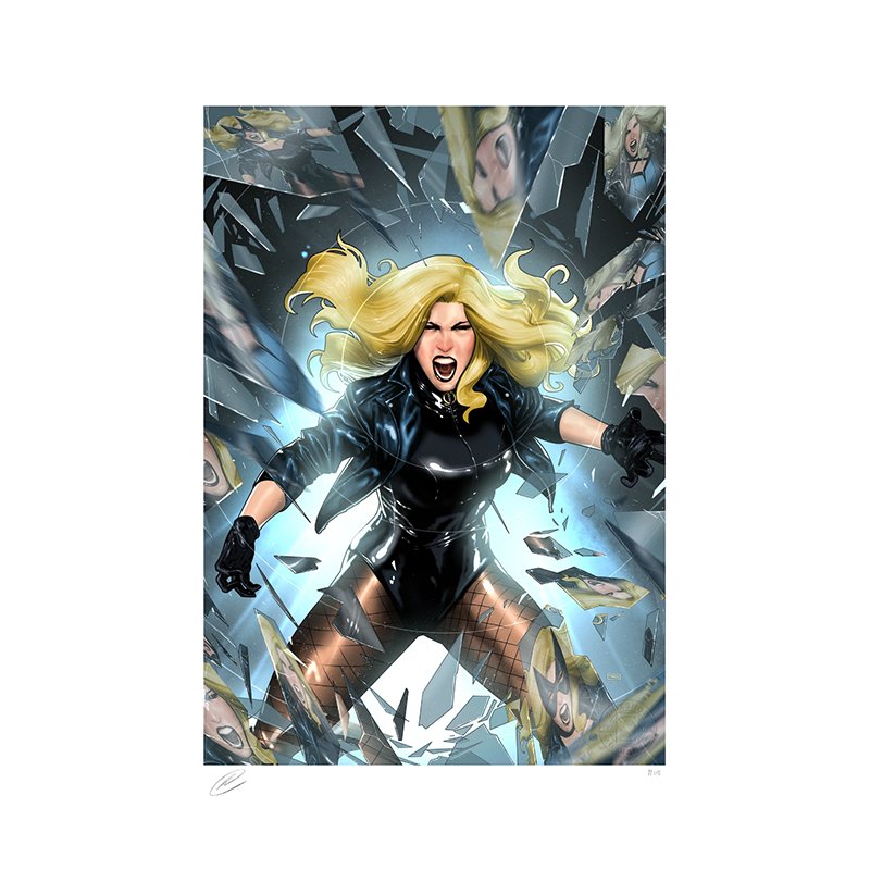 Black Canary - Fine Art Print - Sideshow Collectibles - Zombie