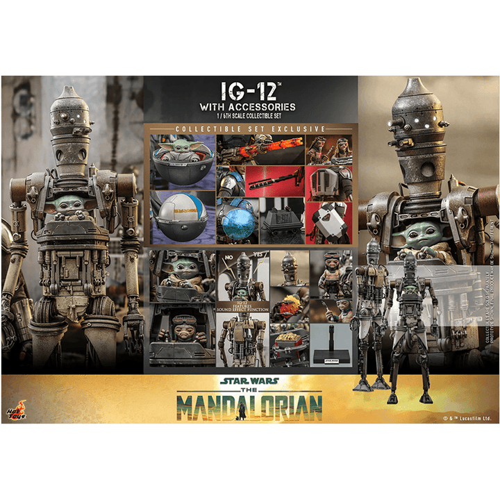 1:6 IG-12 with Accessories – The Mandalorian - Hot Toys (Pre Order) Q3 2024 - Zombie