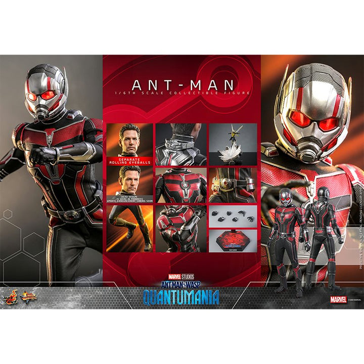 1:6 Ant-Man - Ant-Man and the wasp: Quantumania - Hot Toys (Pre Order Due: Q4 2024) - Zombie