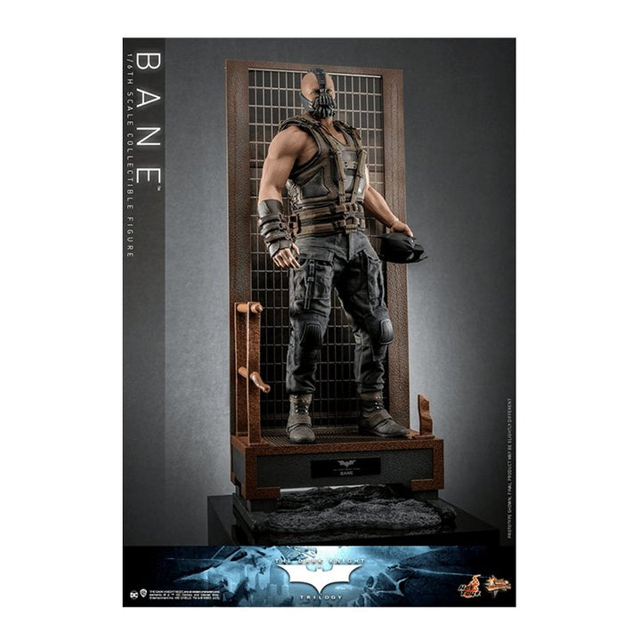 1:6 Bane - The Dark Knight Rises - Hot Toy (Pre Order Due:Q2 2024) - Zombie