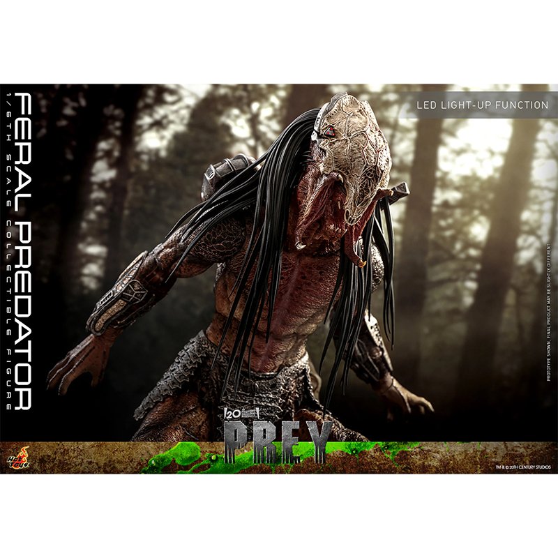 1:6 Feral Predator - Prey - Hot Toys (Pre Order Due: Q1 2025) - Zombie
