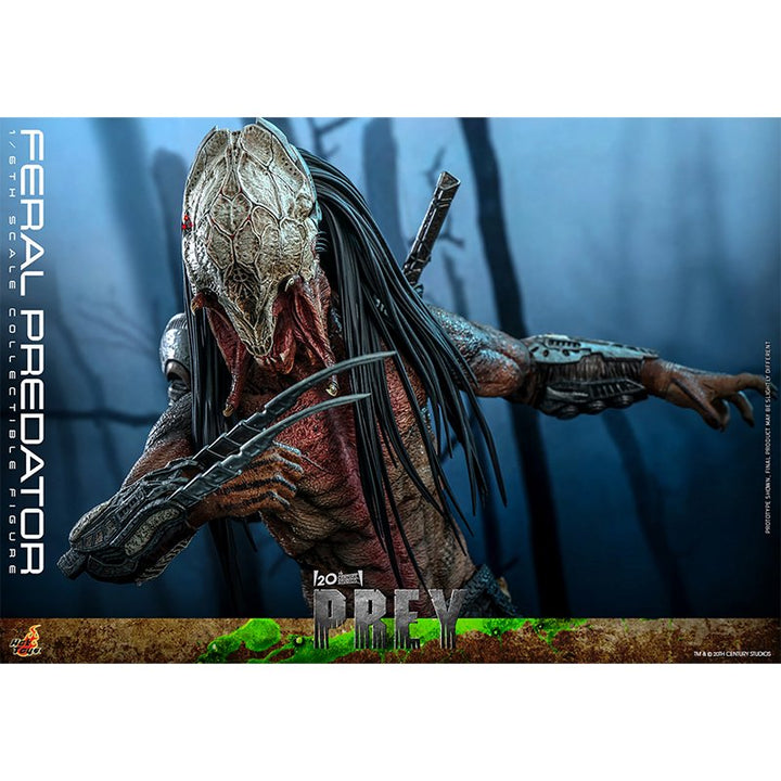 1:6 Feral Predator - Prey - Hot Toys (Pre Order Due: Q1 2025) - Zombie