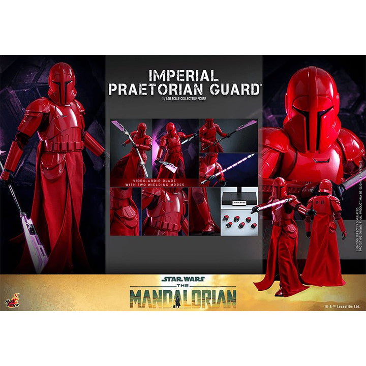 1:6 Imperial Praetorian Guard (Pre Order Due:Q4 2024) - Zombie