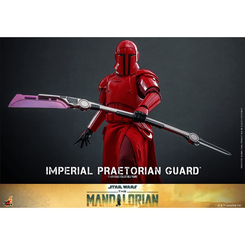 1:6 Imperial Praetorian Guard (Pre Order Due:Q4 2024) - Zombie
