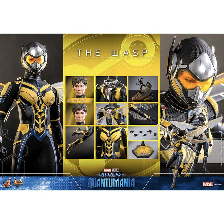 1:6 The Wasp - Ant-Man and the Wasp: Quantumania (Pre Order Due:Q3 2024) - Zombie
