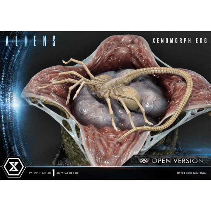 Xenomorph Egg (Open Version) (Pre Order Due:Q2 2024) - Zombie